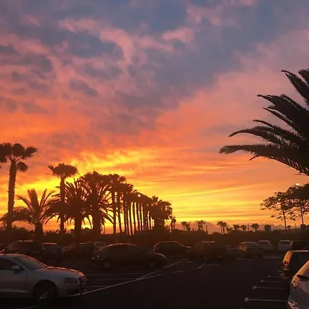 Buenavista In Windsor Park Διαμέρισμα Costa Adeje (Tenerife)