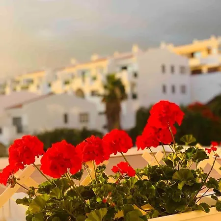 Apartman Buenavista In Windsor Park Costa Adeje (Tenerife)